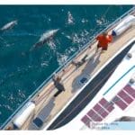 فندر-إسطواني-اخضر-polyform-f-2-series-boat-fendergreen
