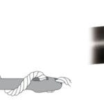 compensator-shock-absorber-520-mm0