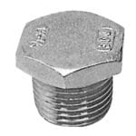 S.S Plug 1" male