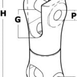 swivelling-connection-aisi-316-8-mm0