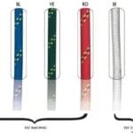 جديلة-مارلو-marlow-dyneema-rac-10mm-green
