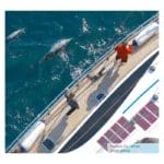 فندر-إسطواني-أبيض-polyform-f-6-series-boat-fender-white (6)